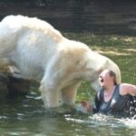 Polar-bear-attack-A-woman-004-1-750x420